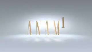 ANAM1 - Premium Commercial Property by AAA Realty