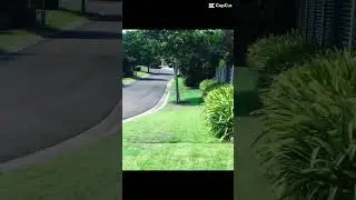 #mowing #mowinggrass #teen 🌱🌱#subscribe