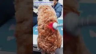 Qolight Vet Laser - Real Care, Real Stories, Feedback from Qolight Veterinary Laser Users