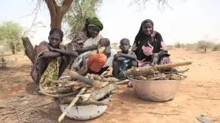 Warning signs of a food crisis