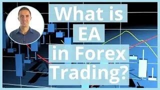 What is EA in Forex Trading?