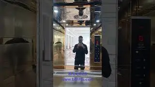 Golden Striped SS Linen Cabin | Premium Elevator Look