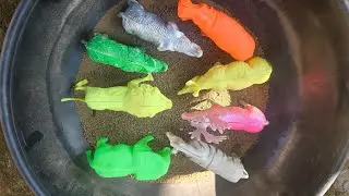 2:42 Minuter ASMR Unboxing🎁🐄🐇: Safari Plastic Animals Review & Collectible Safari Toys
