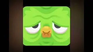 Watching Duolingo Legend Videos and Shorts (Part 1)