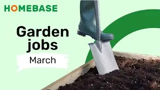 Garden Jobs To Do In March - Garden Diary: March | Garden Ideas & Tips | Homebase