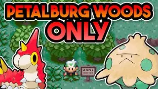 Can I Beat Pokemon Emerald with ONLY Petalburg Woods Pokemon