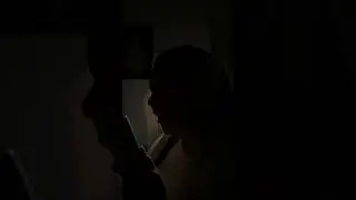 &ldquo;SATRANGA&rdquo; Animal Movie Shadow Idol Cover***