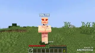 Trailer Minecraft Mod - Salt Mod