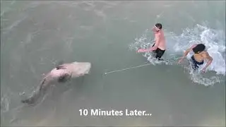 Huge Goliath Grouper Caught at Fishing Pier || ViralHog