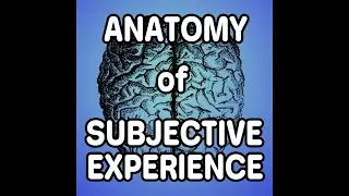 Anatomy of Subjective Experience