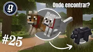 Onde encontrar TODAS as variantes de LOBOS no Minecraft