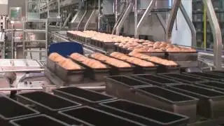TOAST BREAD - Soft Production Line