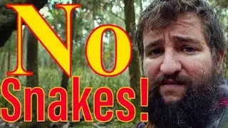 Where do all the Snakes go in Winter?