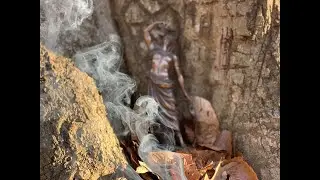 Nature Prayers: An Outdoor Ritual To Lord Dionysus