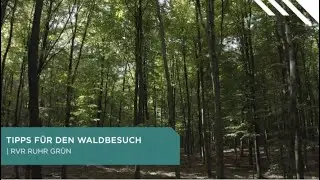 Tipps f&uuml;r den Waldbesuch in der Metropole Ruhr