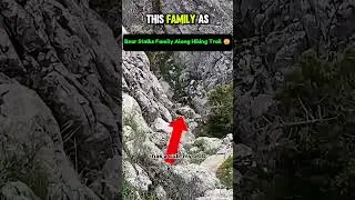 Bear Stalks Family Along Hiking Trail 😳