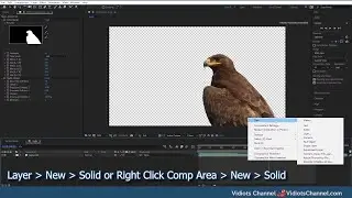 Remove background to make a green screen or alpha channel effect using  Adobe After Effects.