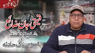 Tolinton Market Accident | Chicken Price Today | Mian Tariq Javed