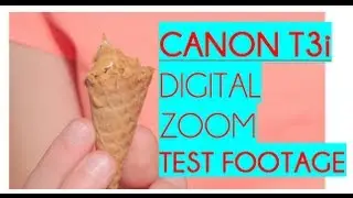 Canon T3i Digital Zoom Test Footage [In Cam Compression]