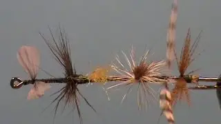 Fly Tying May Fly Wing Demonstration with Jim Misiura