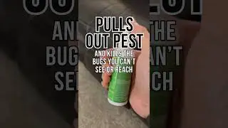 Fleas in House? Resorts Do This & It Works