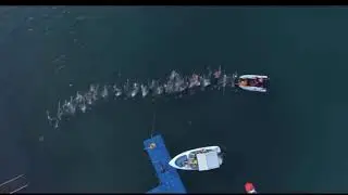 Russian Junior Open Water Championships 7,5 km 1st place