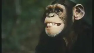 WERBUNG TOYOTA