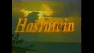 Zee TV Promo for Hasratein (1997)