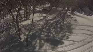 Powder through the trees at Perisher :D