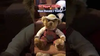 No Bigger Hillbilly than #donaldjohntrump 🍊 #donaldtrump #capitolriots #hillbilly #redneck #shorts