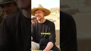 МИСТЕР БИСТ В ЕГИПТЕ! #best #egypt #explore #fun #funny #mrbeast #top