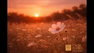 Soft Flower | Calm Piano Music for Relaxation & Focus