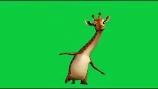 La girafe pingouin est comique 4k Green Screen