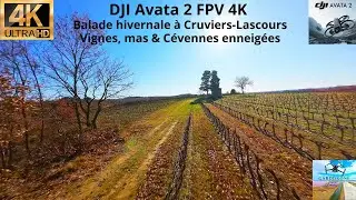 DJI Avata 2 FPV 4K &ndash; Balade hivernale &agrave; Cruviers-Lascours | Vignes, mas & C&eacute;vennes enneig&eacute;es