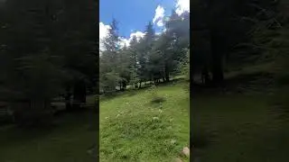 🌲 بابور&hellip; جمال لا ينتهي | Babors Forest &mdash; Endless Beauty 🌿