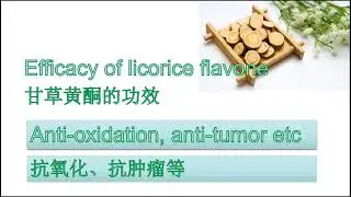 Extraction of plant essence