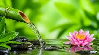 Relaxing Music for Stress and Anxiety Relief – Deep Sleep and Meditation Sounds for Mind Healing