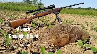 Быстрая охота на сурка