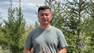 Проект &laquo;Q&raquo; от компании LANDJER