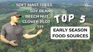 Top 5 Early Season Food Sources for Whitetail Hunting