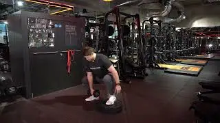 Dumbbell Step Off I Elite Physique Training