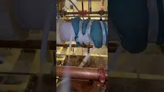 Freezing a 4in water line and replacing a butterfly valve ￼
