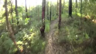 Nerang State Forest Mountain Bike Crash