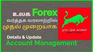 Forex Account Management Service | Best Account Management Service in Tamil