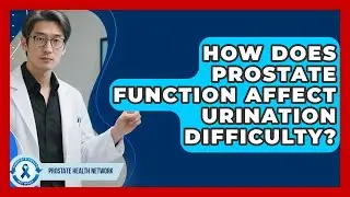 How Does Prostate Function Affect Urination Difficulty? - Prostate Health Network