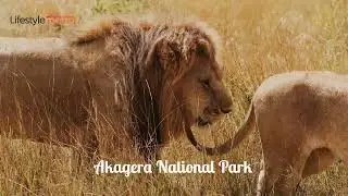 20 Best Places to Visit in Rwanda - Travel Video and Guide