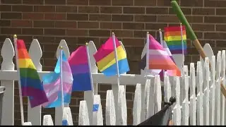 Peoria Pride holds pride picnic virtually