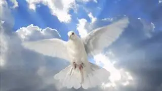 Kadesh - El Amor Que Permanece.wmv