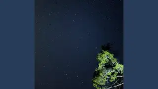 2024.05.29 raven halo