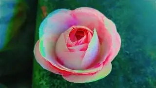 Rose flower making simple work || DIY CRAFT WORK 